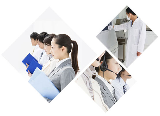 沧州海角免费网站厂家